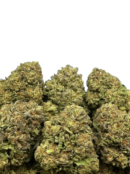 Mr. Nasty (Hybrid)