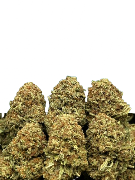 Cherry Cake - Indica